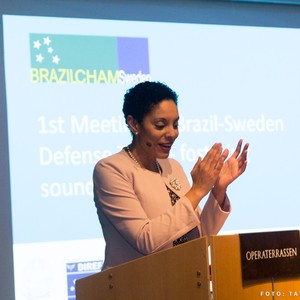 Elisa Sohlman ( Executive Director - Brazilcham)